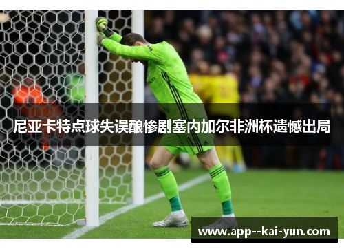 尼亚卡特点球失误酿惨剧塞内加尔非洲杯遗憾出局